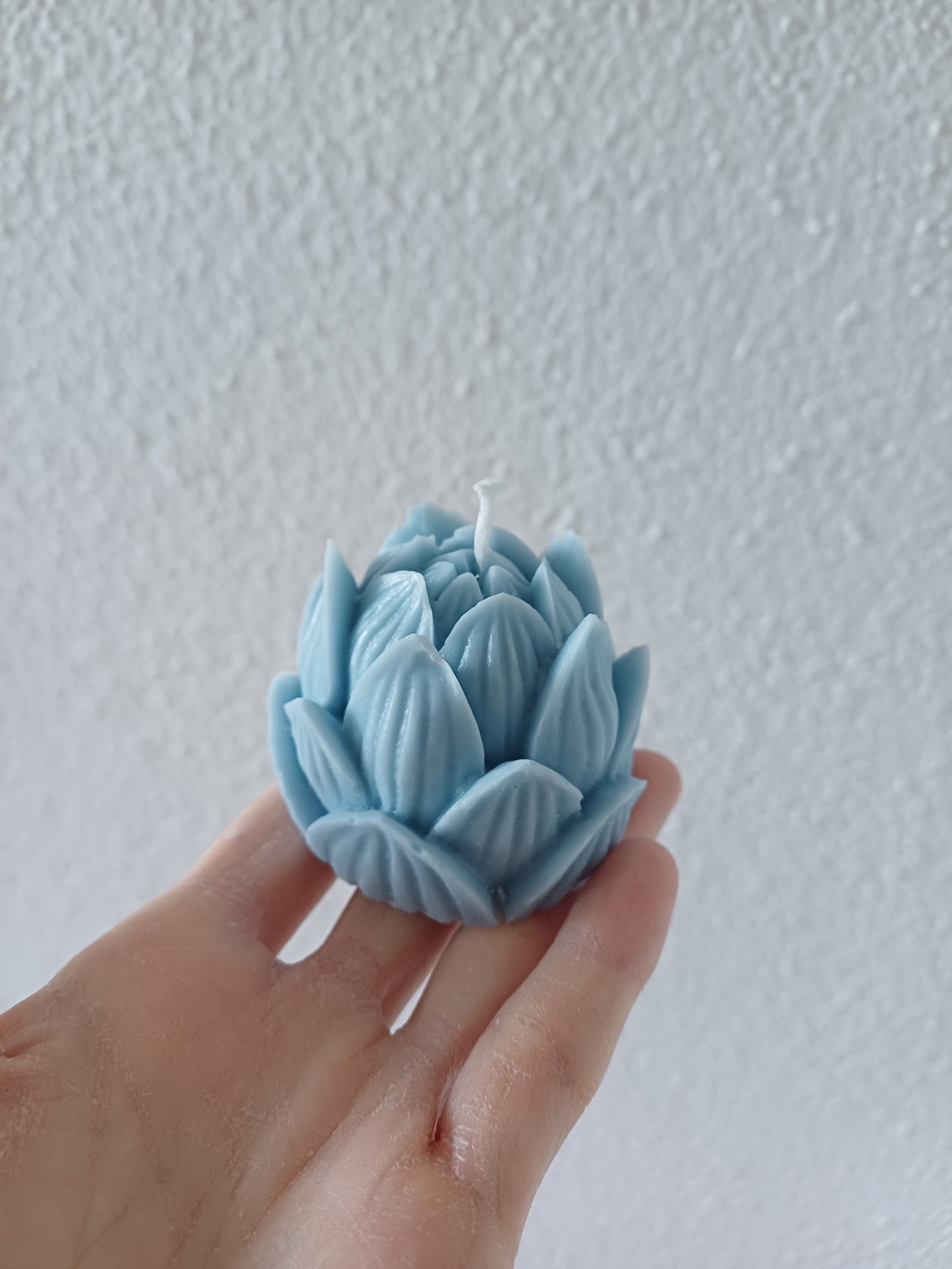 Lotusblüte klein