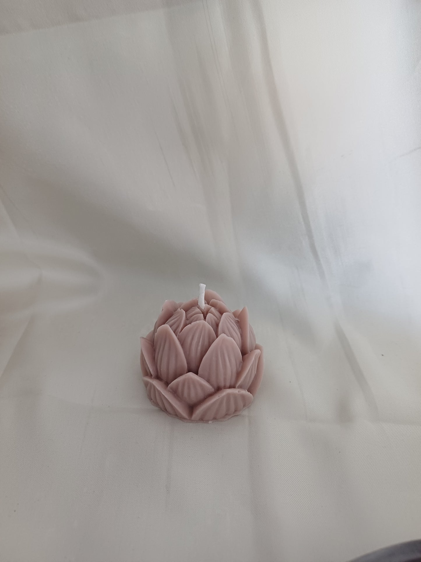 Lotusblüte klein