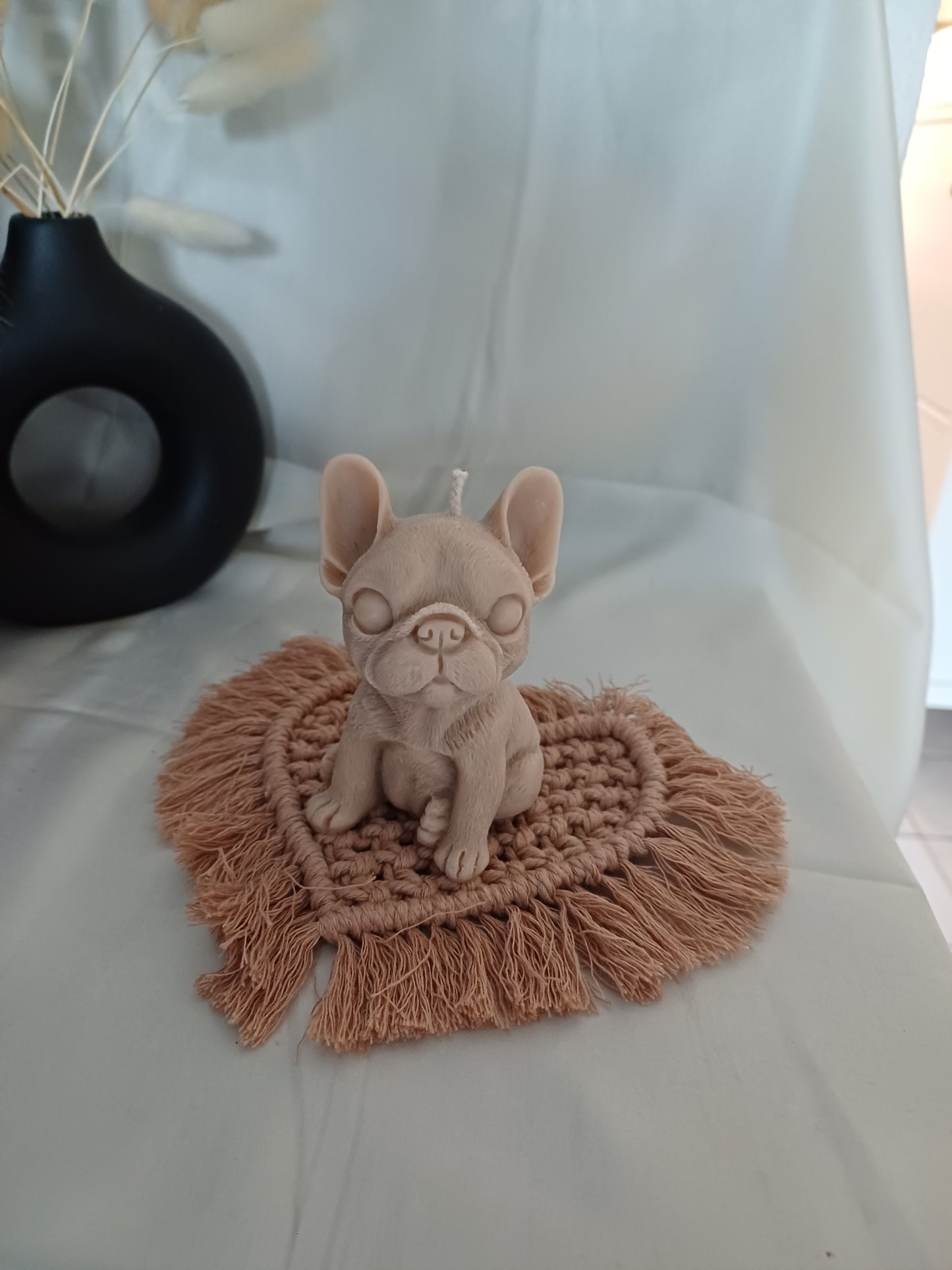 Frenchie