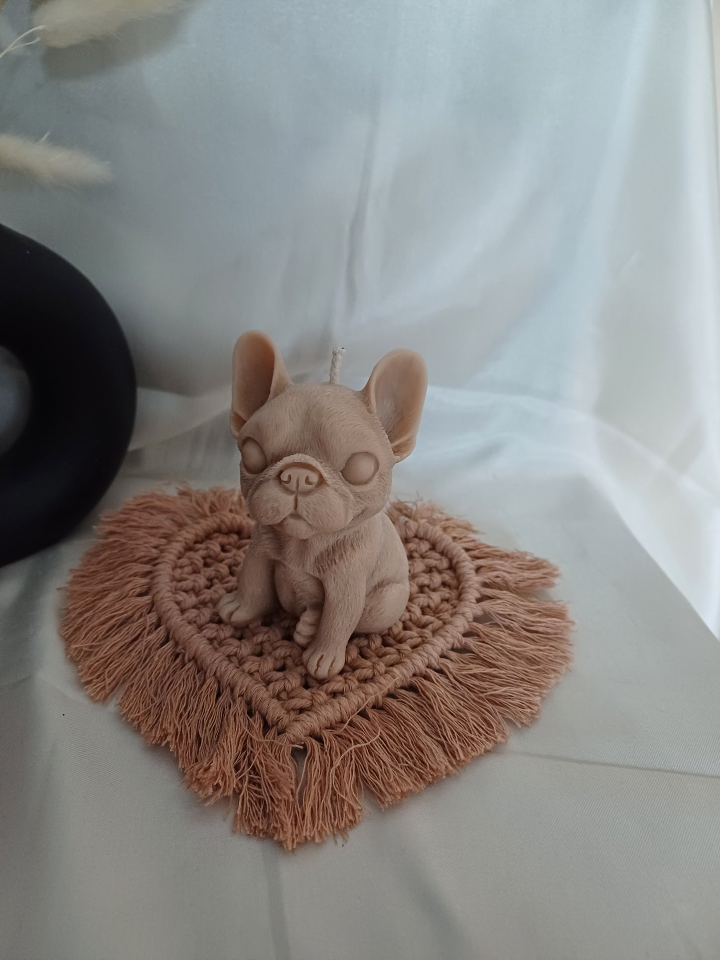 Frenchie