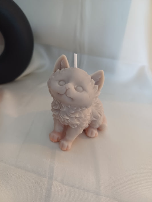 Katze