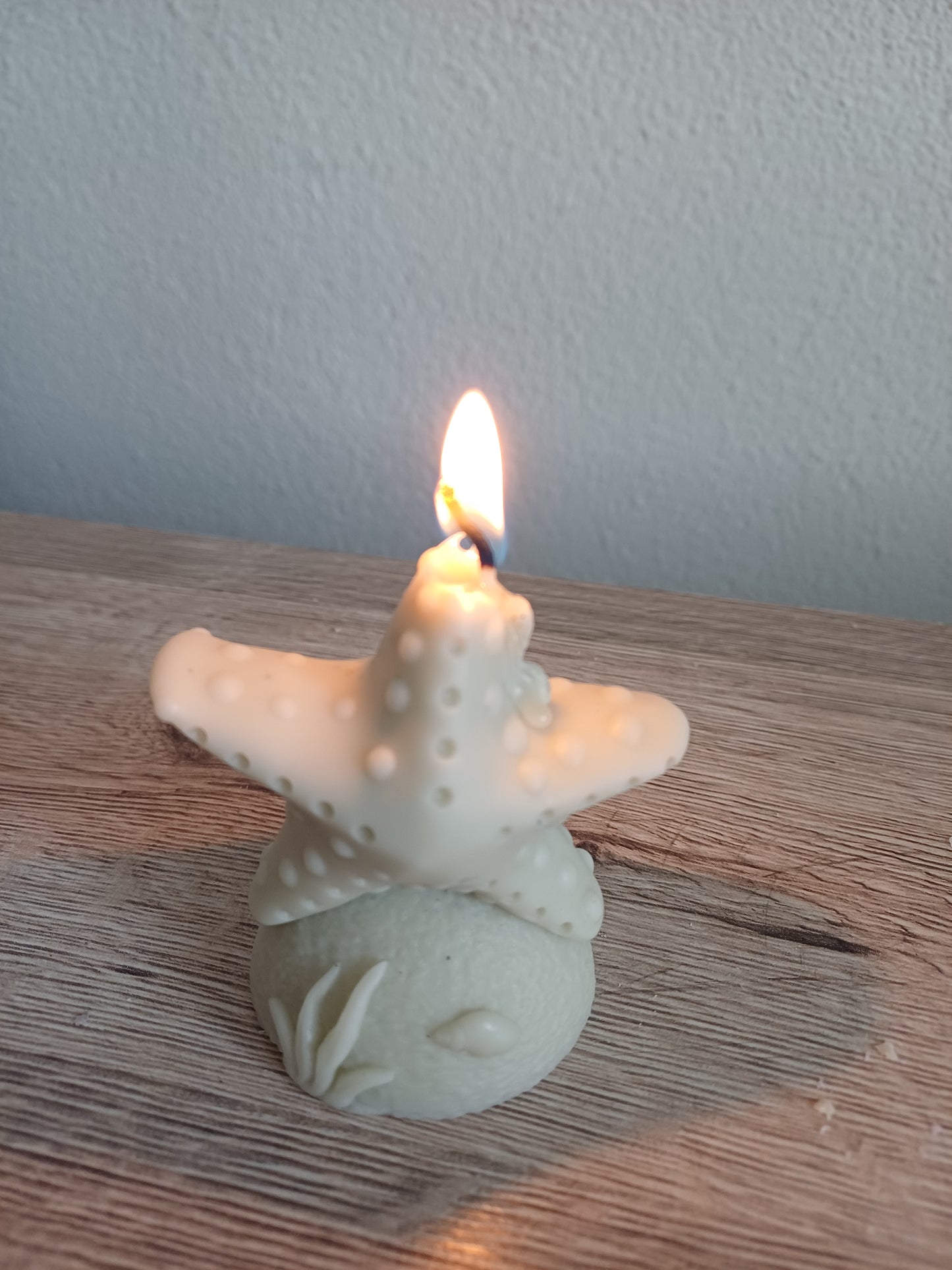 Seestern