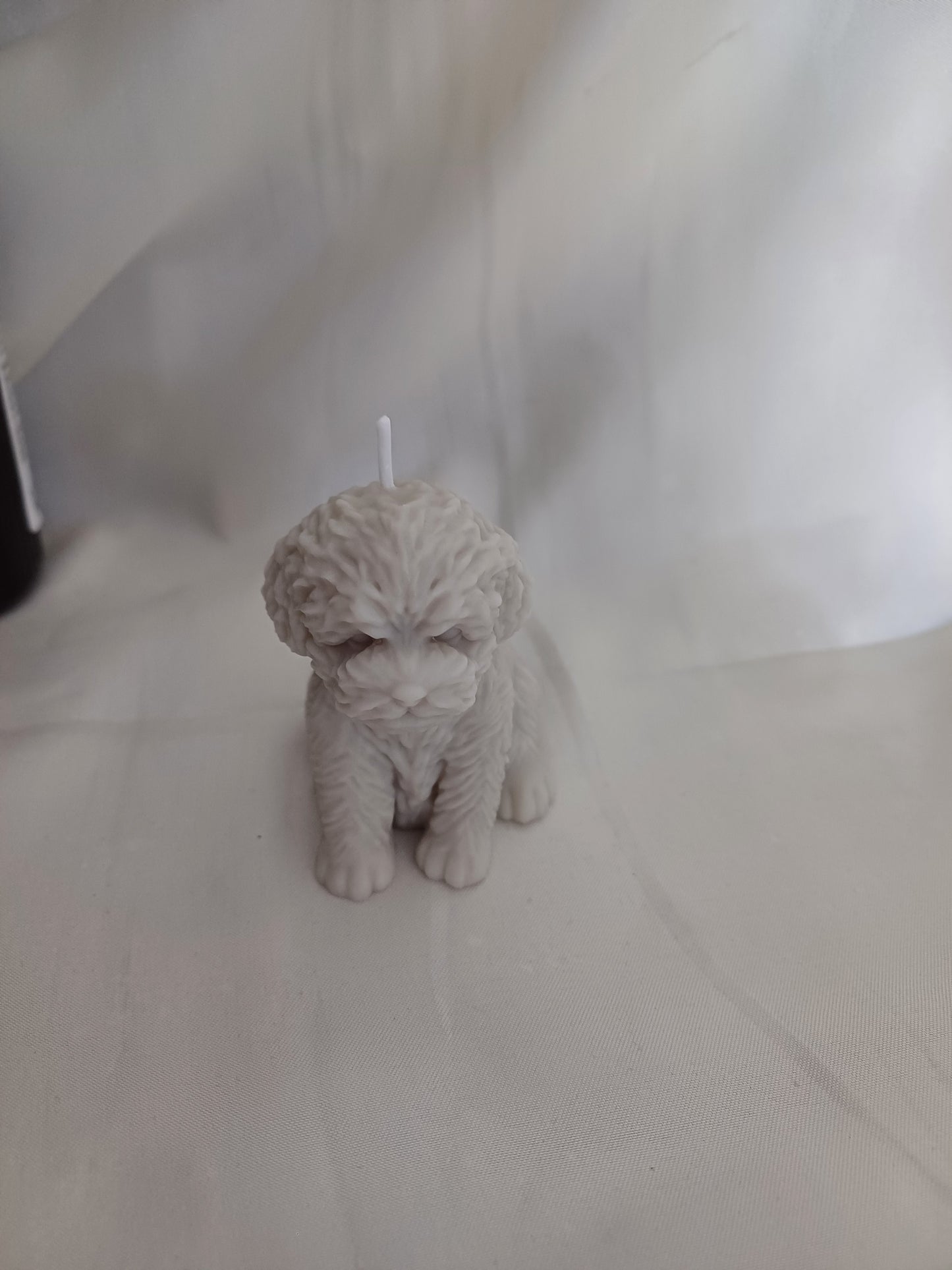 Hundewelpe