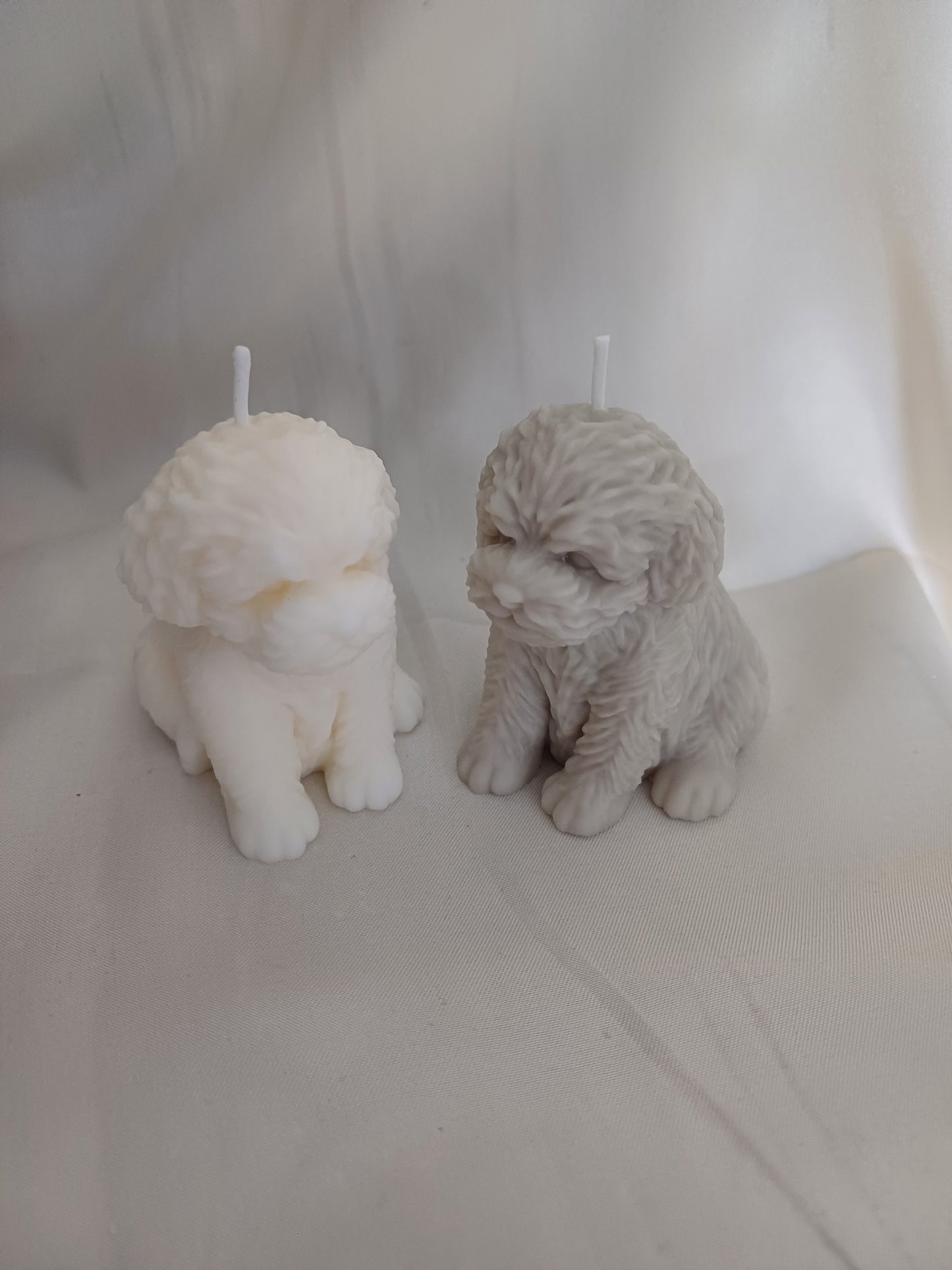 Hundewelpe