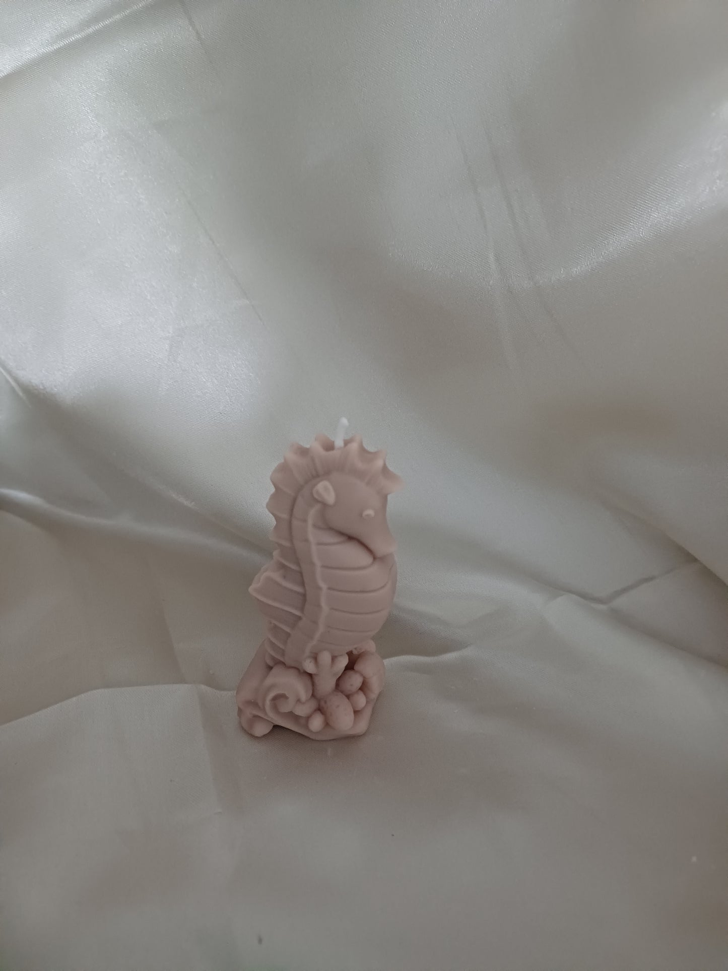 Seepferdchen