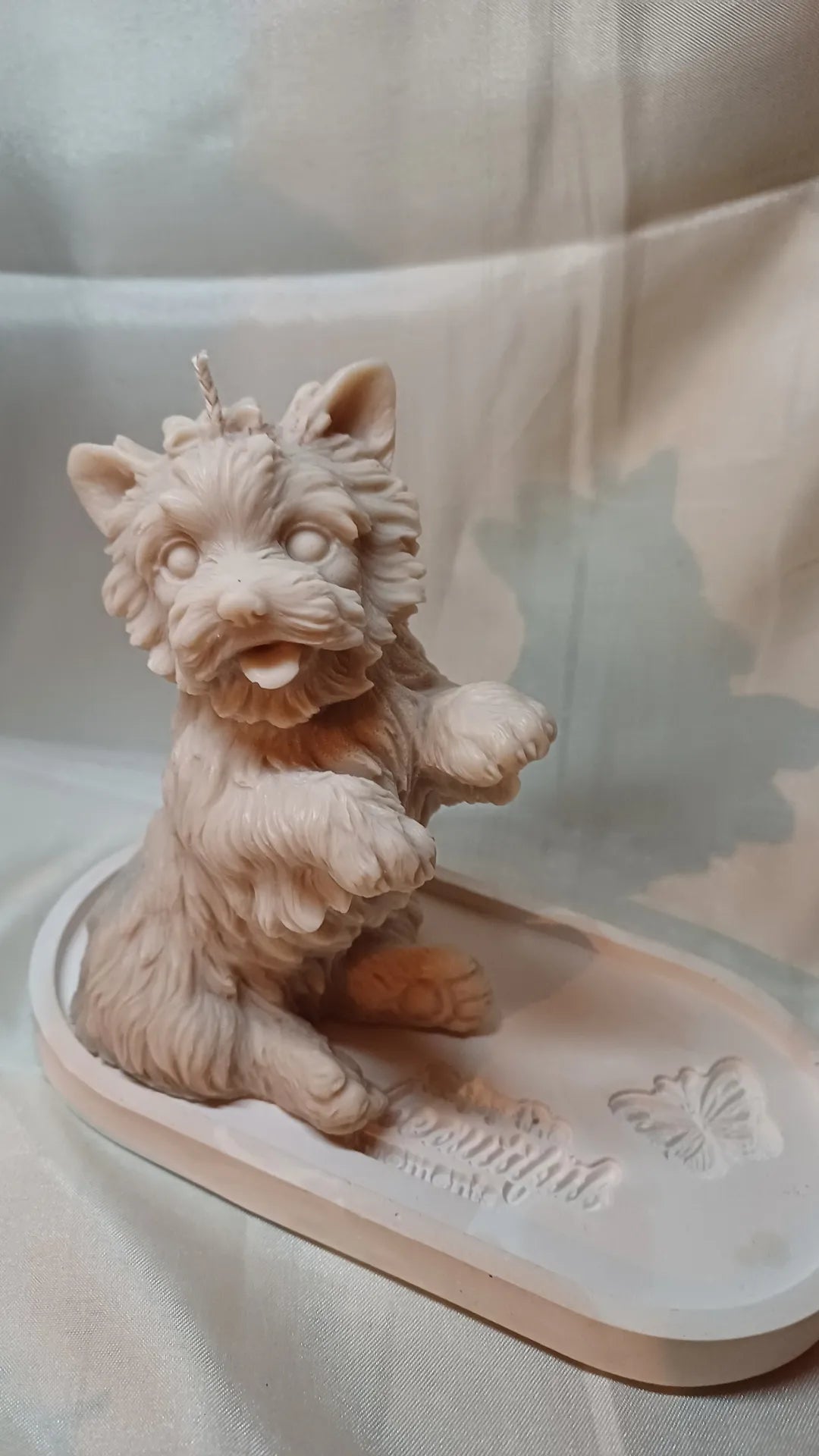 Yorkshire Terrier stehend