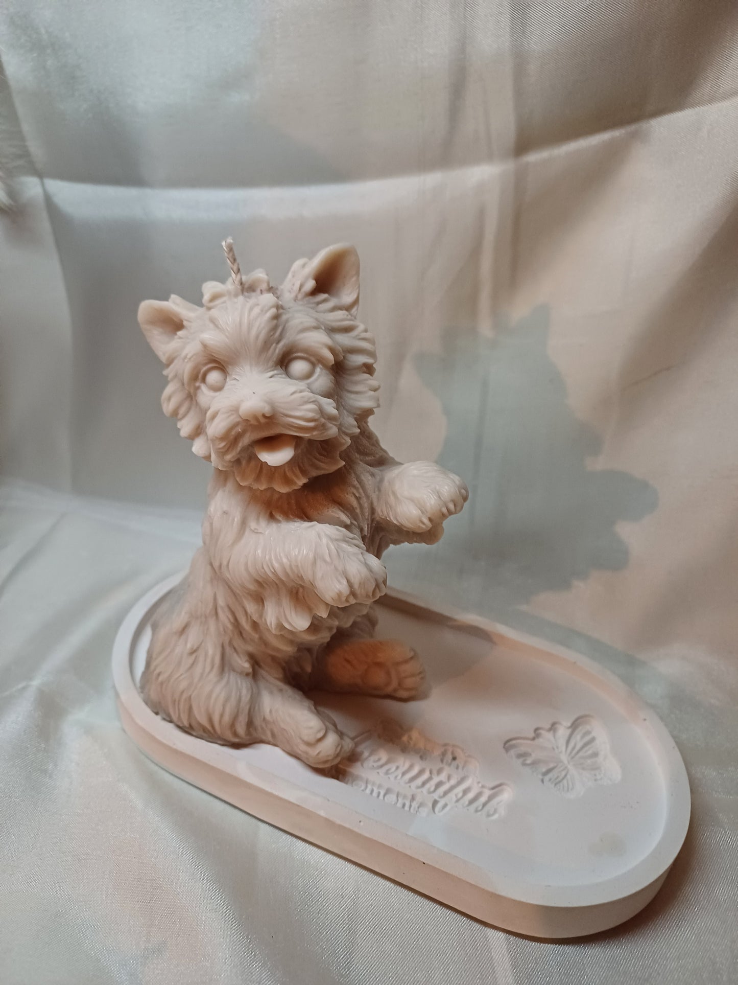 Yorkshire Terrier stehend